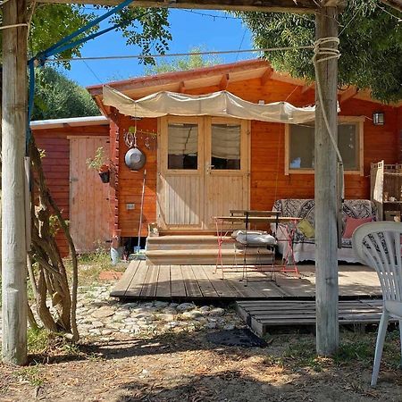 El Canto De Las Ranas Villa Барбате Екстериор снимка