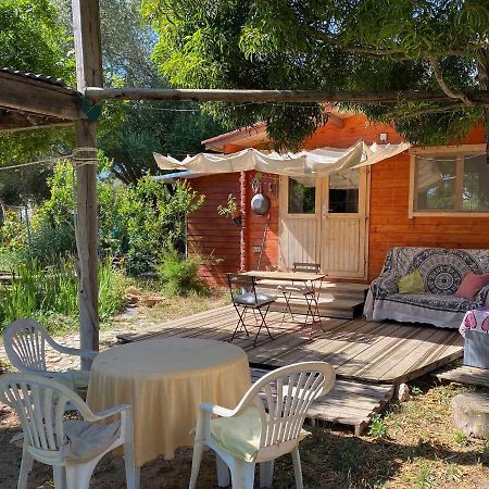 El Canto De Las Ranas Villa Барбате Екстериор снимка