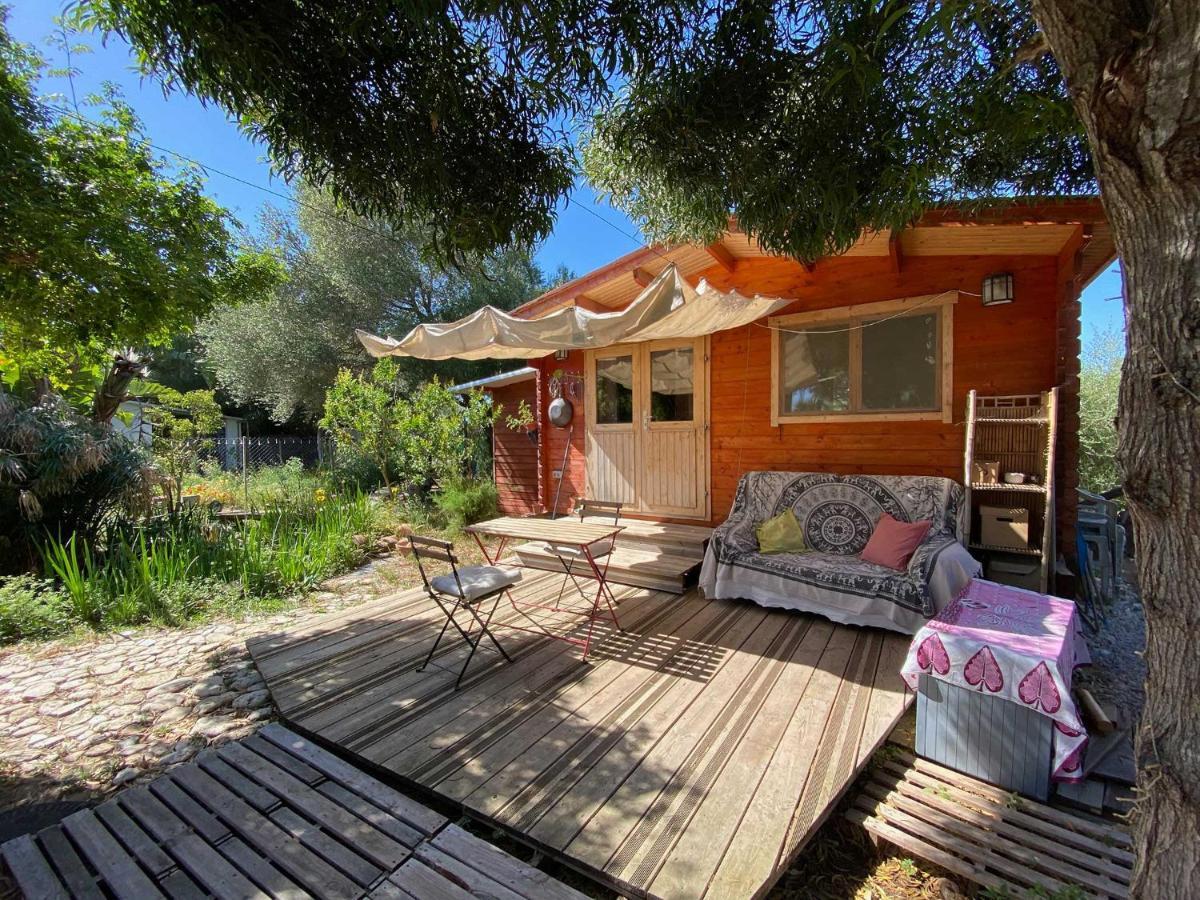 El Canto De Las Ranas Villa Барбате Екстериор снимка