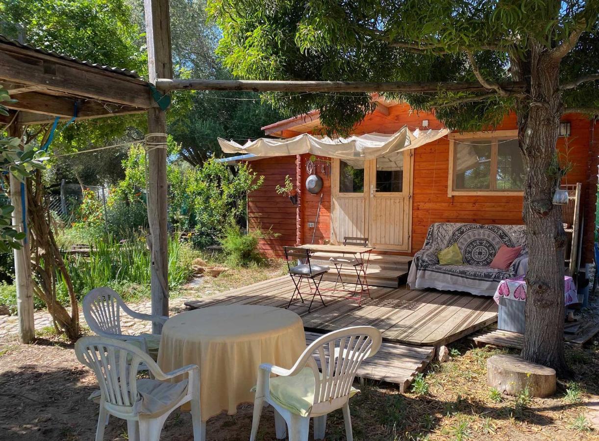 El Canto De Las Ranas Villa Барбате Екстериор снимка